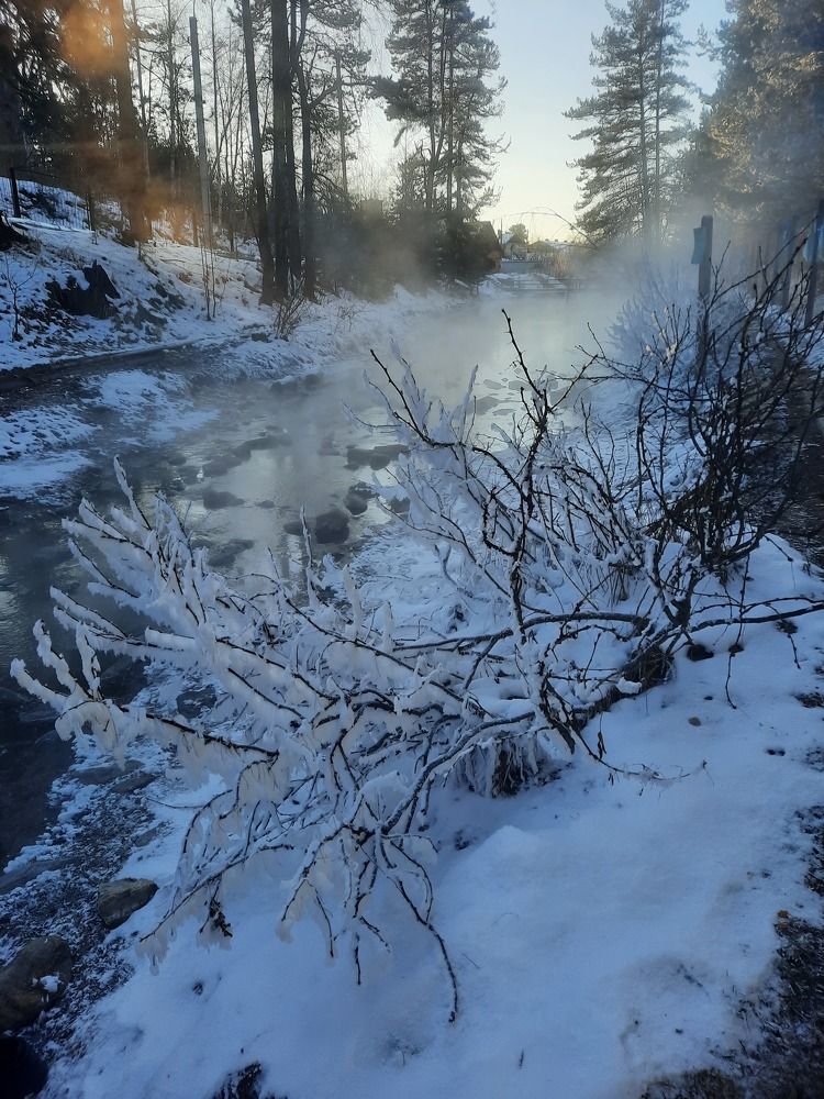 Photograph by Ирина Петракович