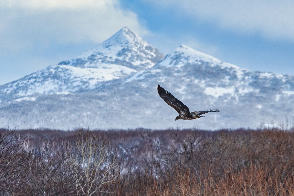 Photograph by Юрий Лавренюк