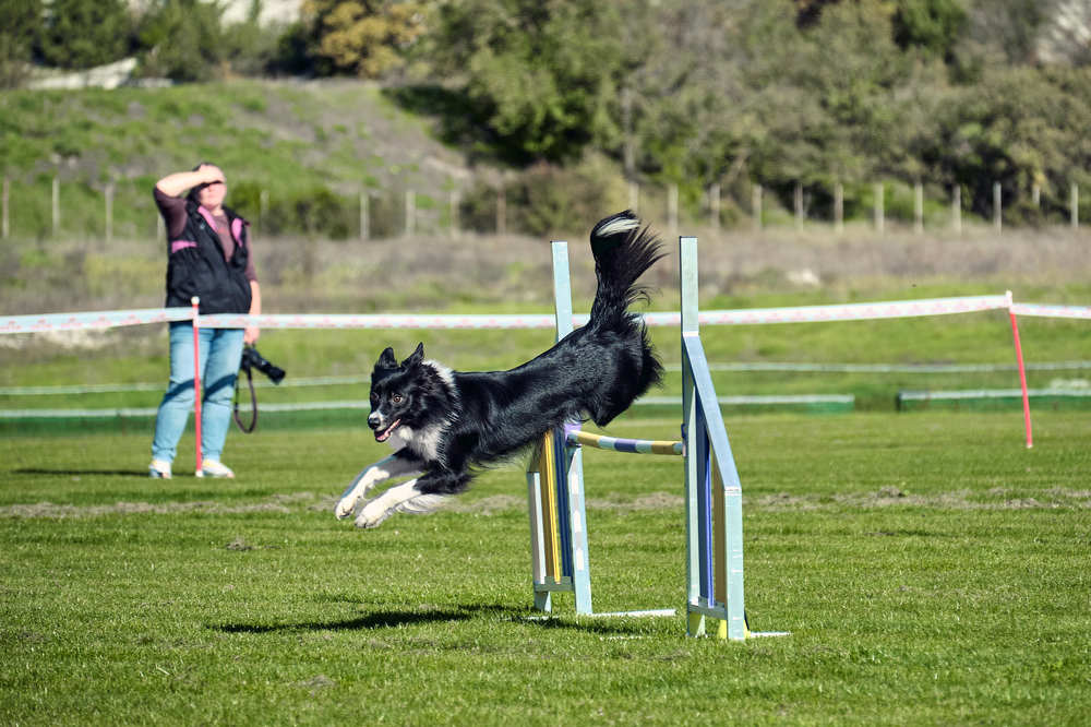 Photograph by Станислав Дроздов