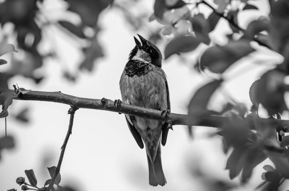 Photograph by Юлиана Иванова