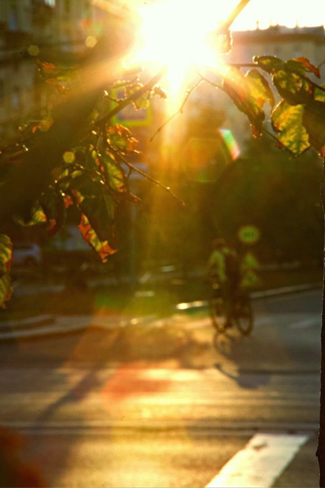 Photograph by LarisaMostseeva