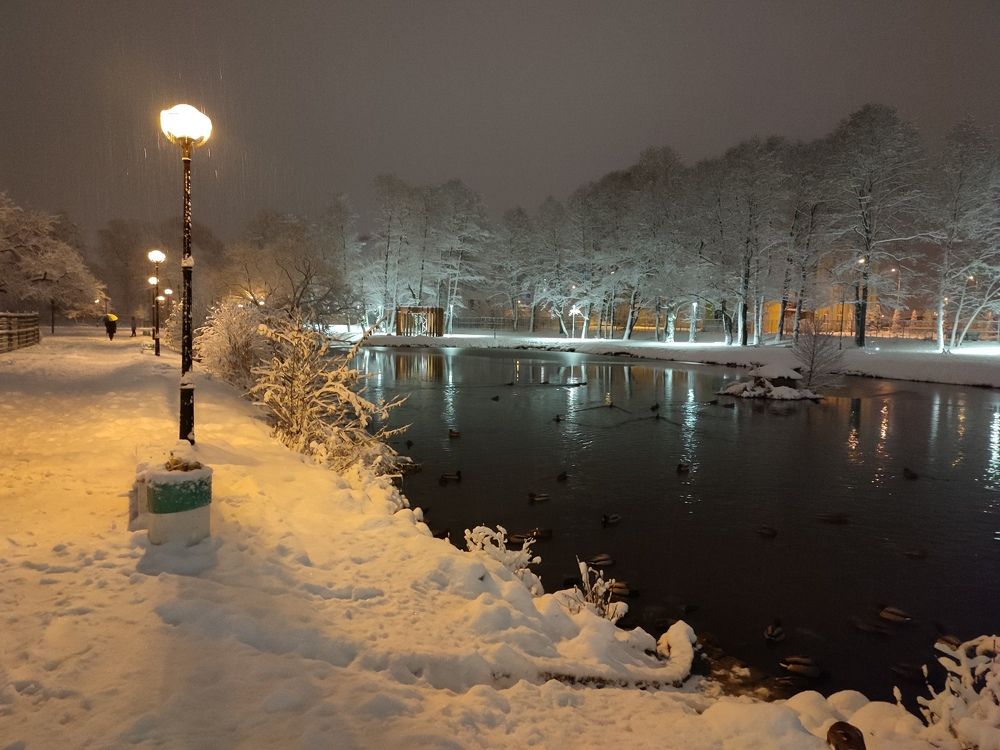 Зимние и летние красоты