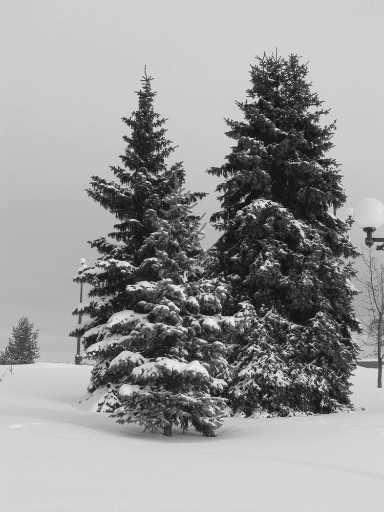 Фотография автора Кузьмичева Екатерина Васильевна