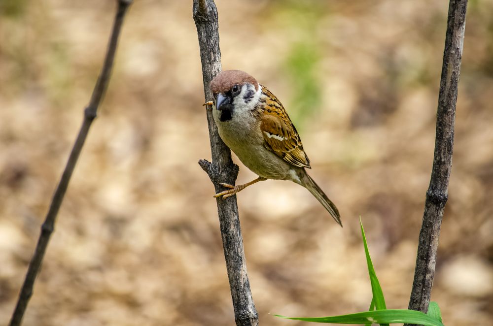 Photograph by Юлиана Иванова