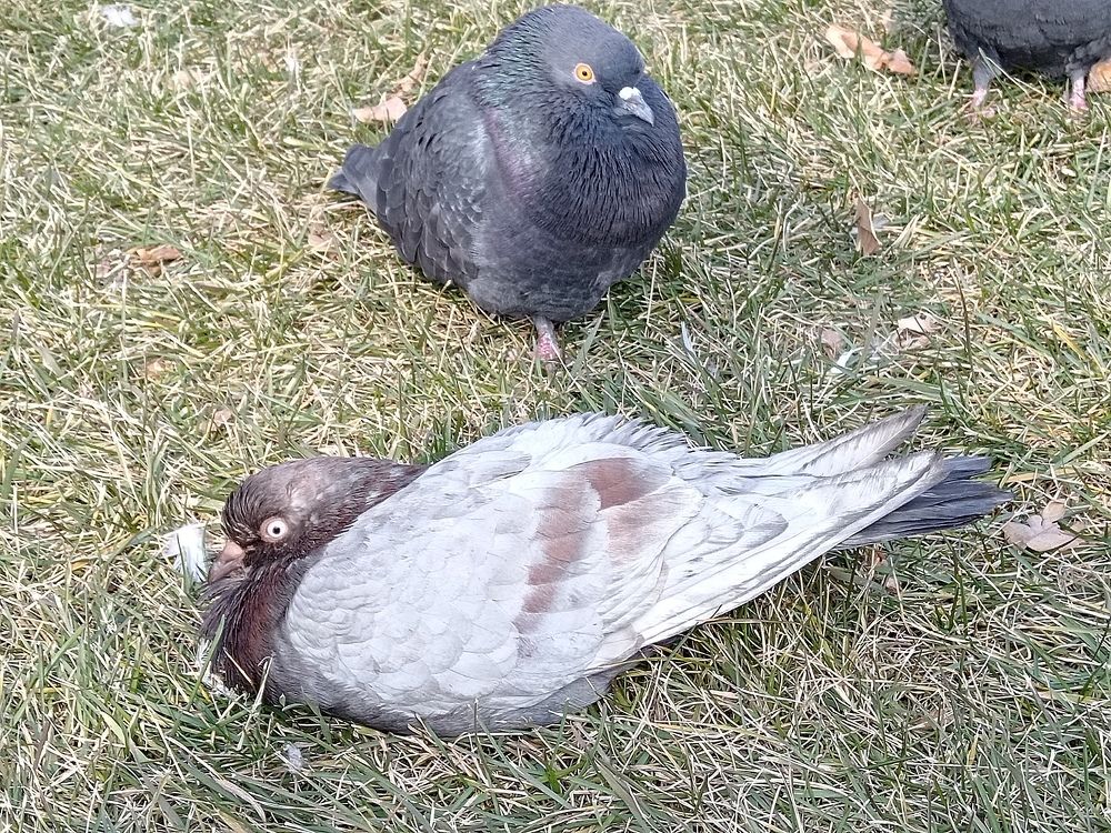 Photograph by Юлиана Иванова