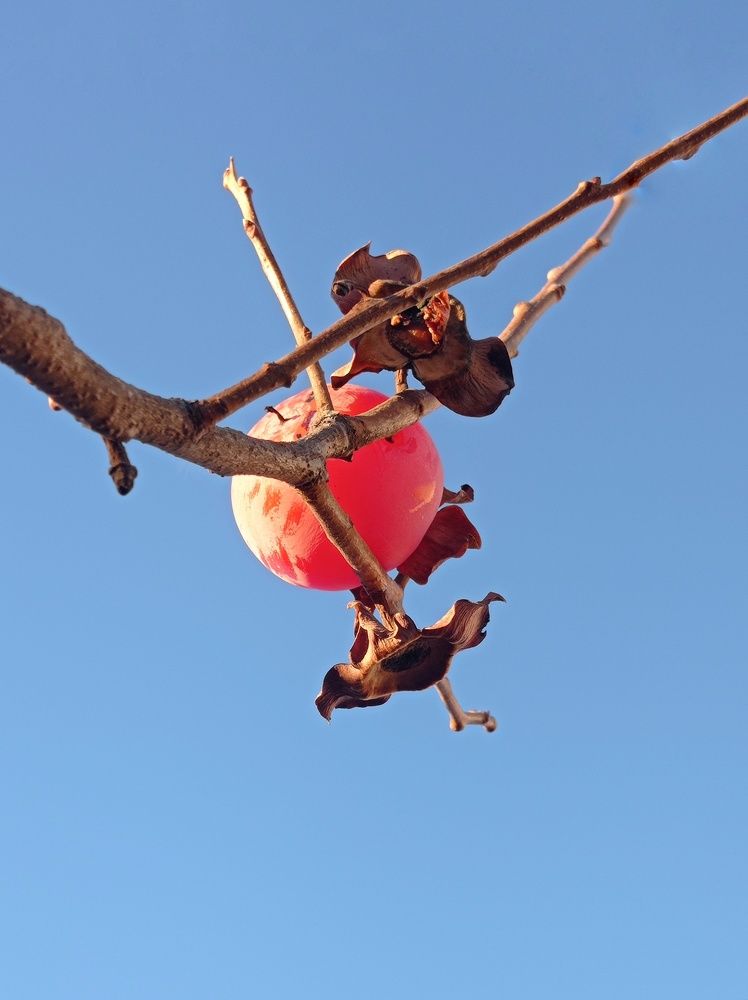 Photograph by Валентина Рябуха