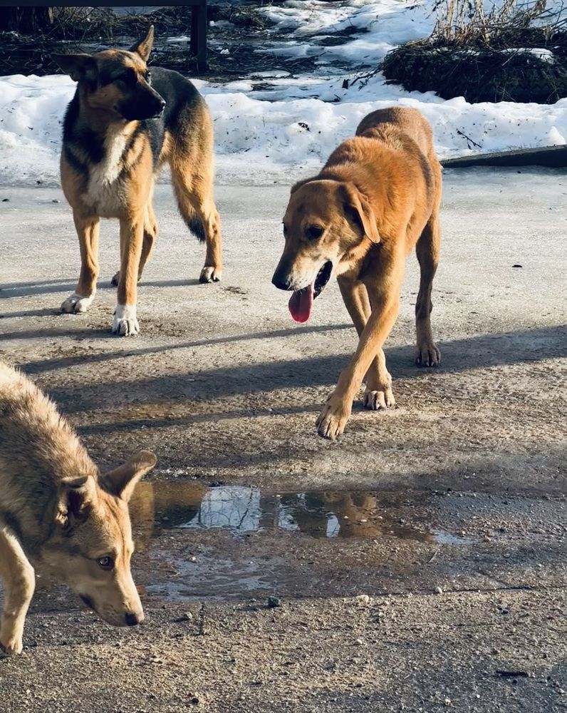 Photograph by Наталья Сережко