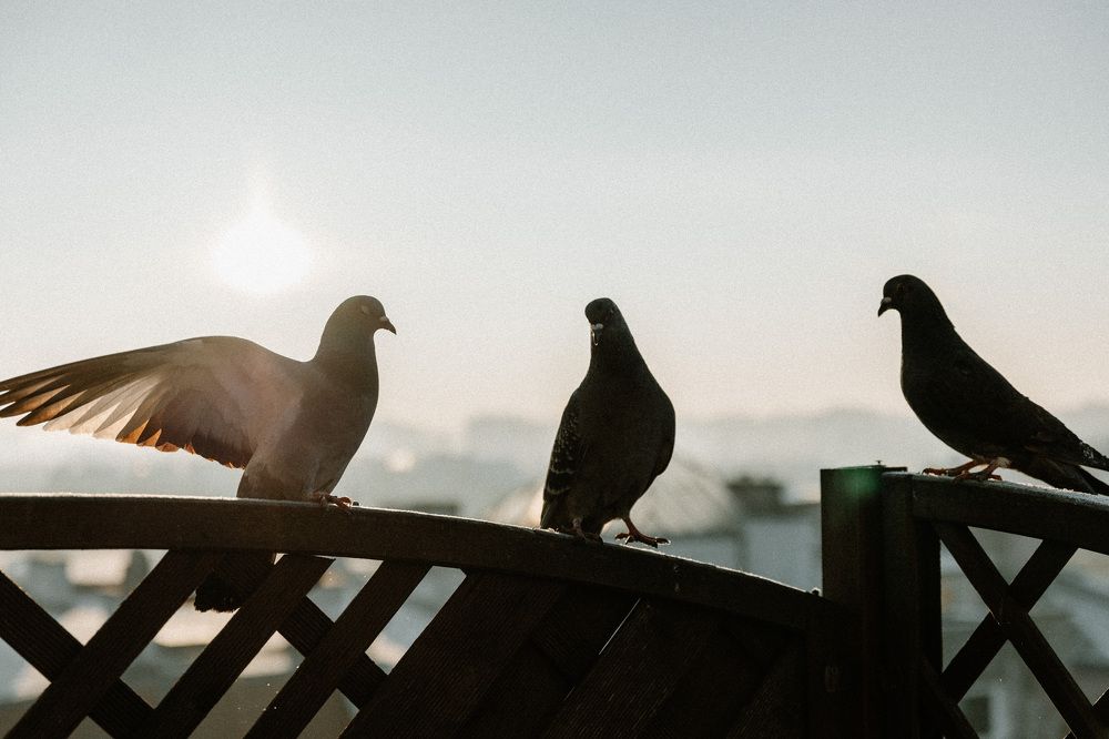 Photograph by Елена Мышковская