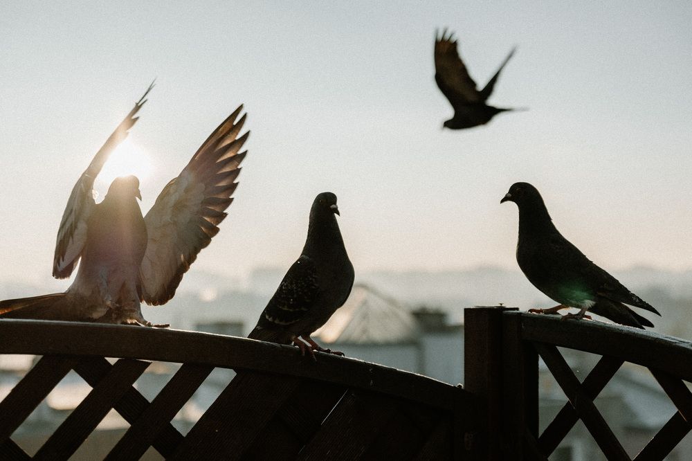 Photograph by Елена Мышковская