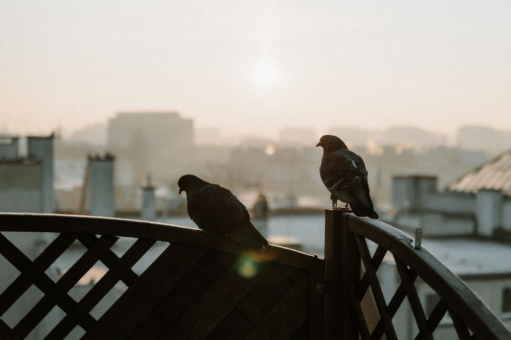 Photograph by Елена Мышковская