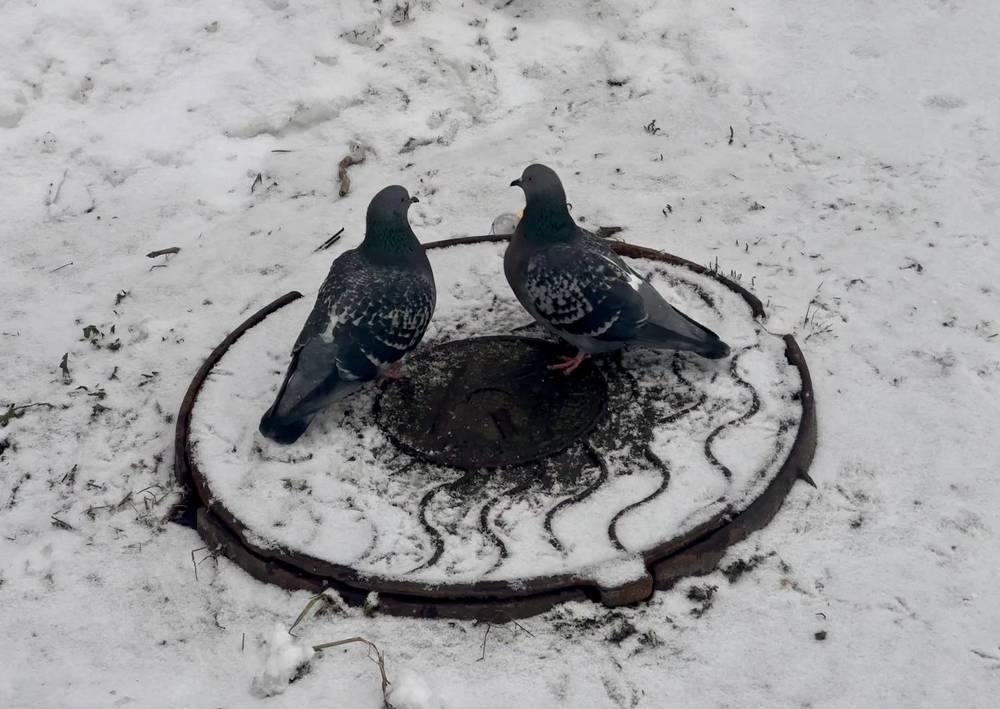 Photograph by Наталья Сережко