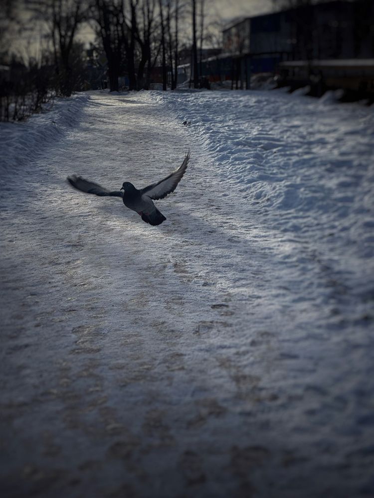 Photograph by Наталья Сережко