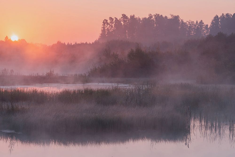 Photograph by Евгений Гонтов