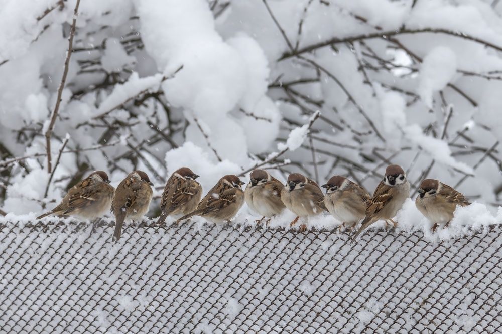 Photograph by Хабаров Сергей