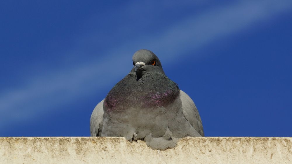 Photograph by Павел Кузьмин