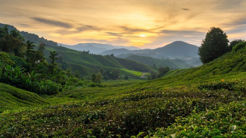 Photograph by Mohamad Al Dabbas