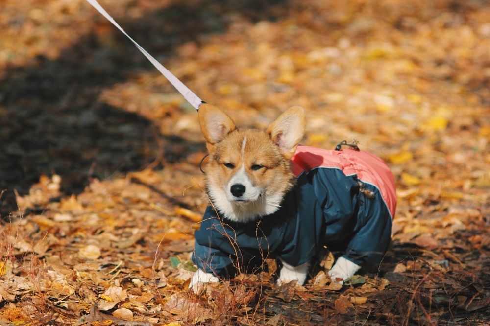 Photograph by Карманов Сергей