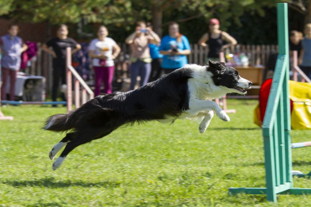 Photograph by Эльнара Исаева