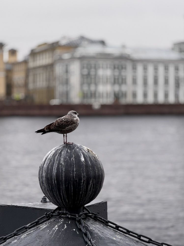 Photograph by Татьяна Смирнова