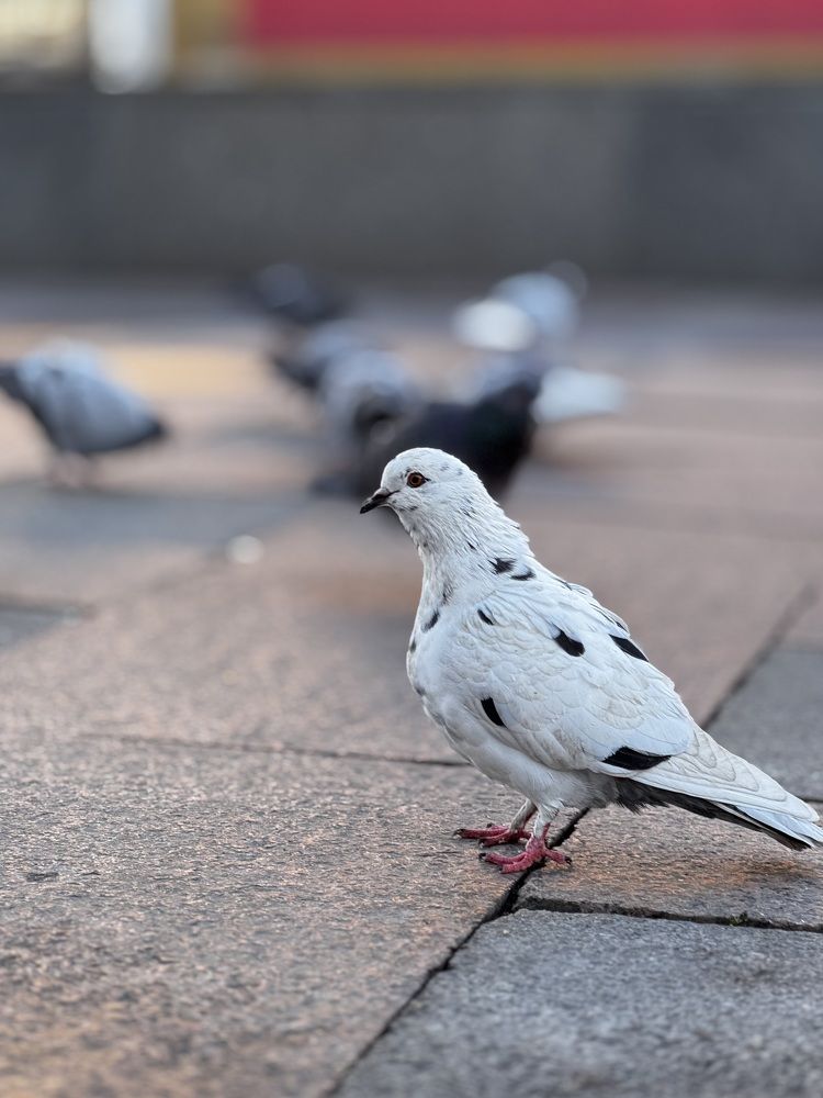 Photograph by Татьяна Смирнова
