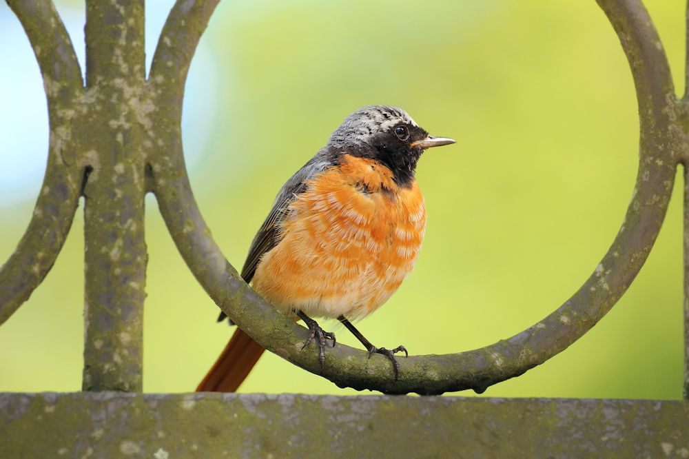 Photograph by Шруб (Беляева) Татьяна