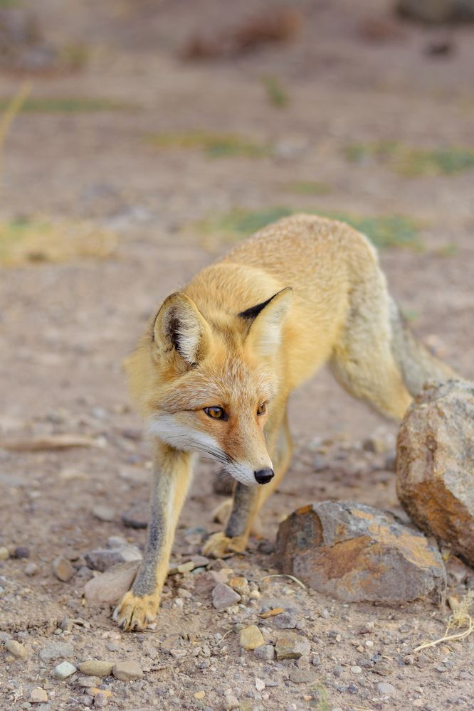 Photograph by Mina Mamdouhi