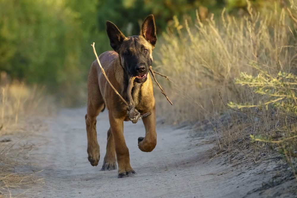 Photograph by Владимир Зайцев
