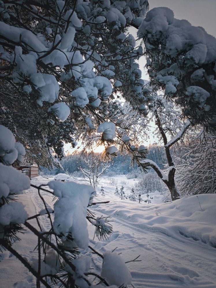 Photograph by Анна