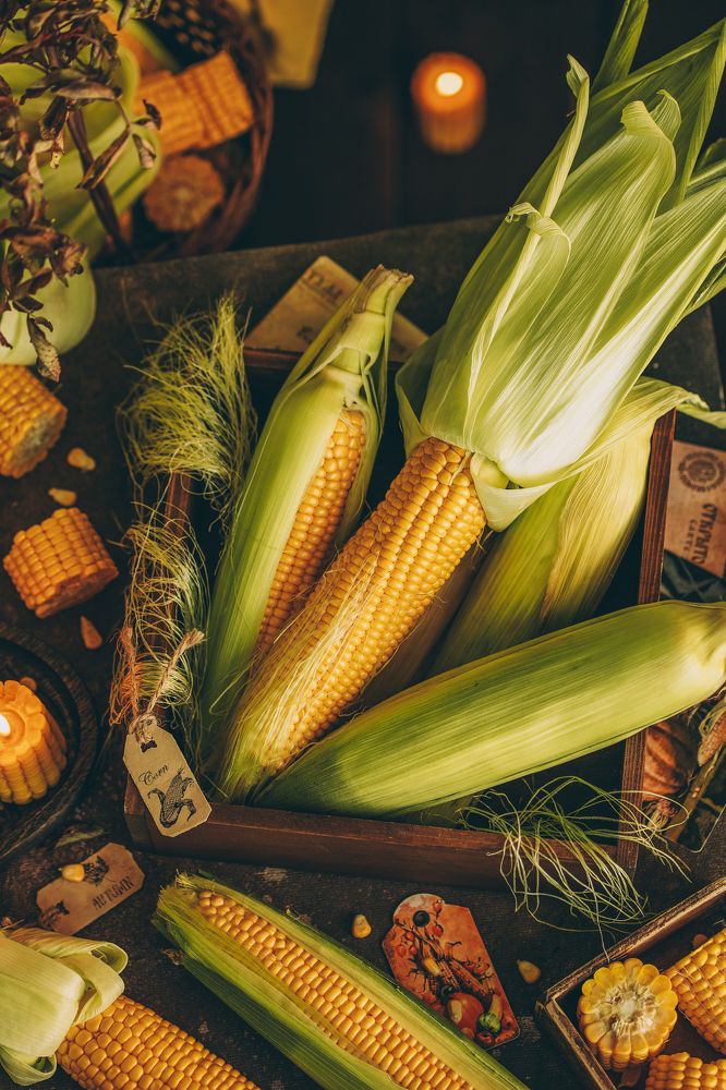 Photograph by Романова Марина