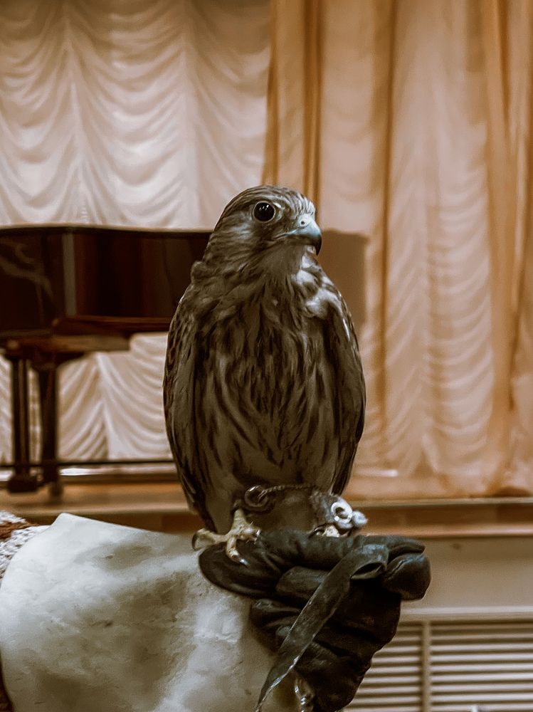 Photograph by Светлана Смук