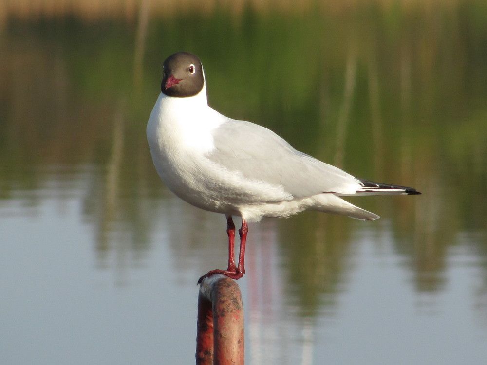 Photograph by Юлия