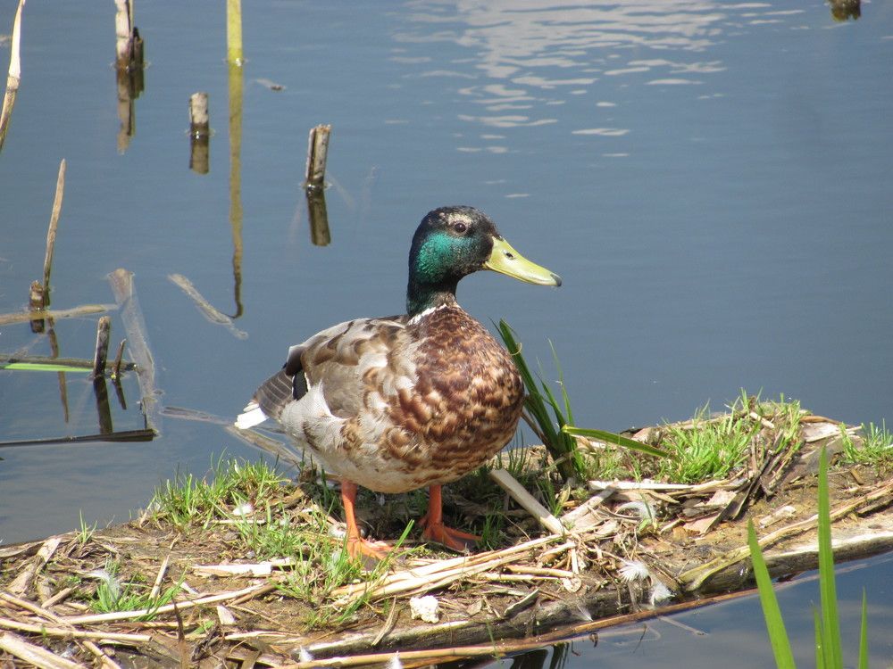 Photograph by Юлия