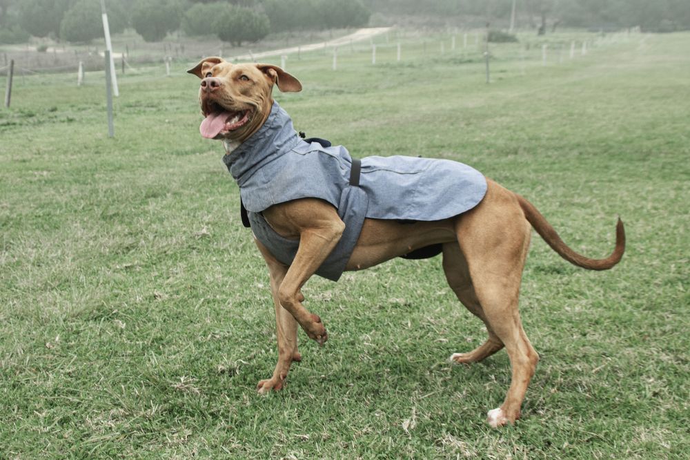 Photograph by Fábio Martins