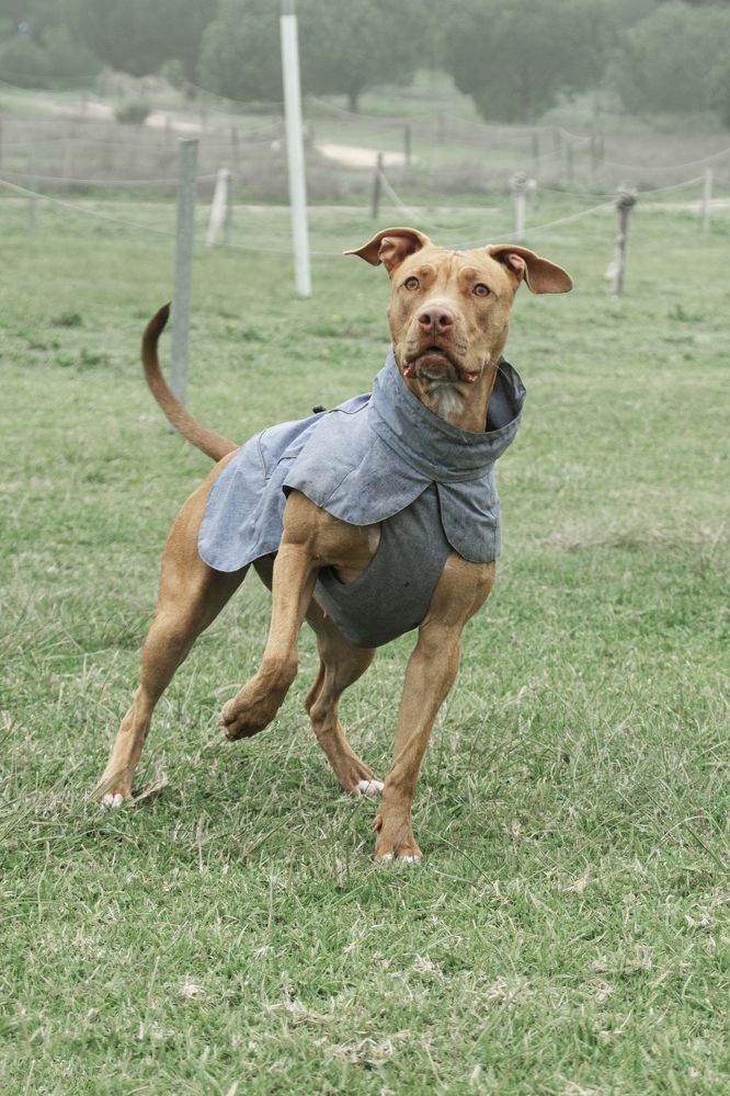 Photograph by Fábio Martins