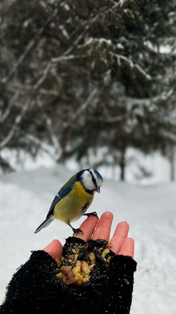 Photograph by Мария Карпычева