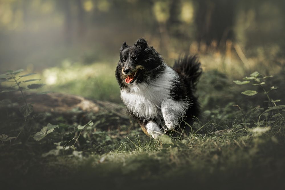 Photograph by Lucie Nermuťová