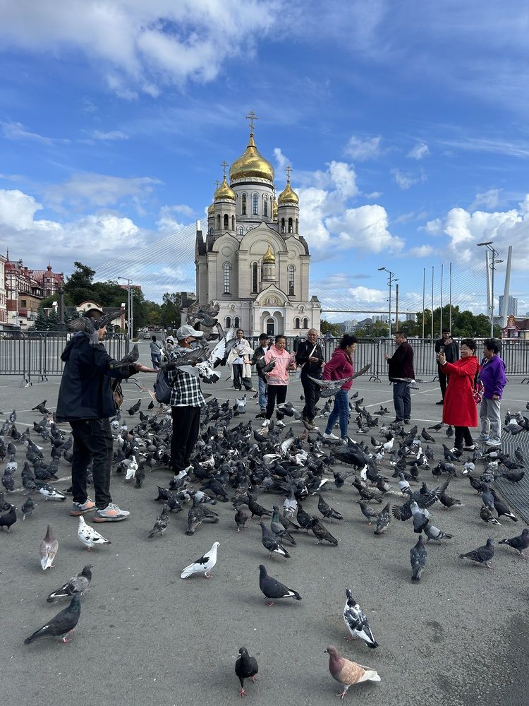 Photograph by Елена Власова