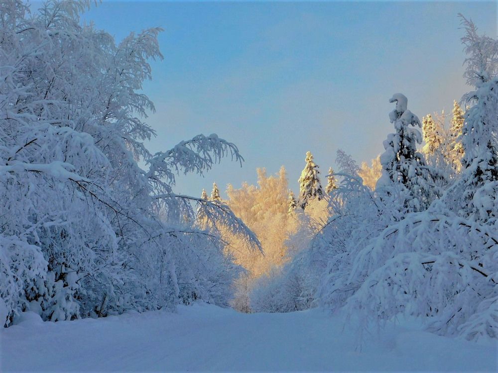 Photograph by Татьяна Ижмукова