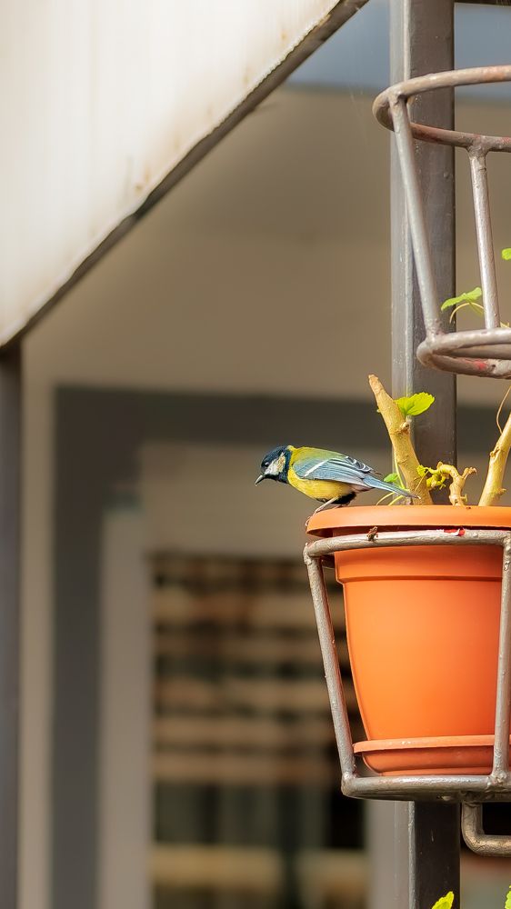 Photograph by Omer Gojak