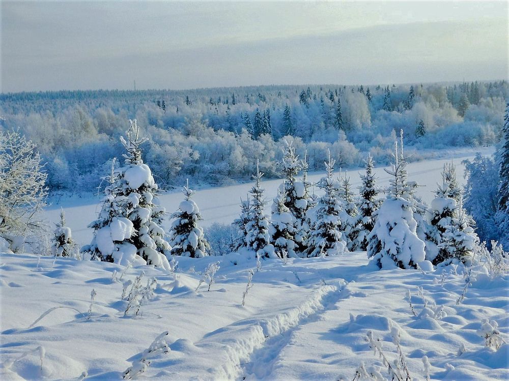 Photograph by Татьяна Ижмукова
