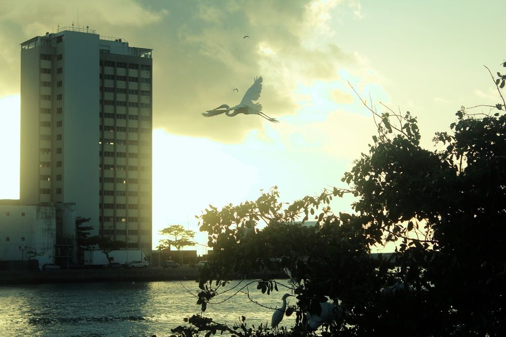 Photograph by CRINALDO REIS