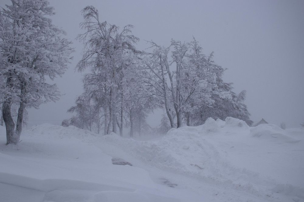 Photograph by Татьяна Ижмукова
