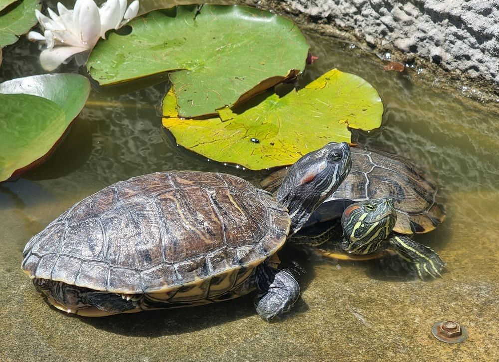 Photograph by Евгений Фесенко