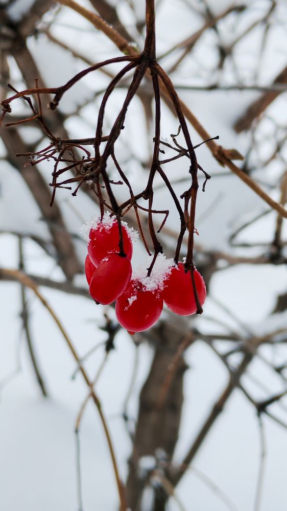 Photograph by ТАТЬЯНА ПАНОВА