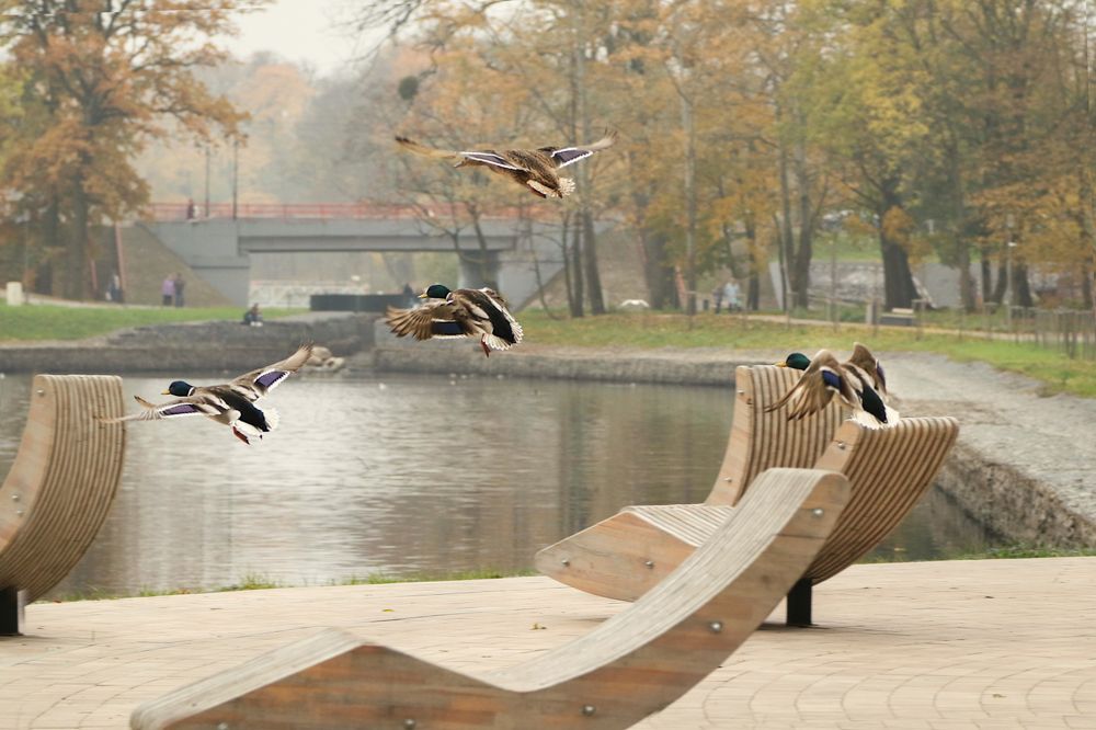 Photograph by Шруб (Беляева) Татьяна