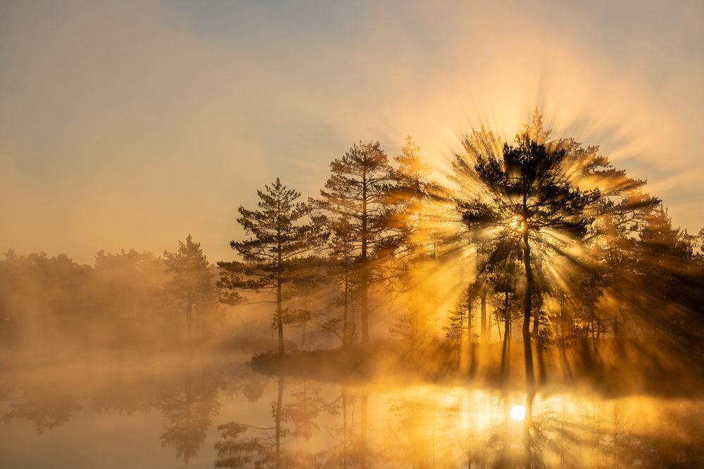 Photograph by Михаил Азаров