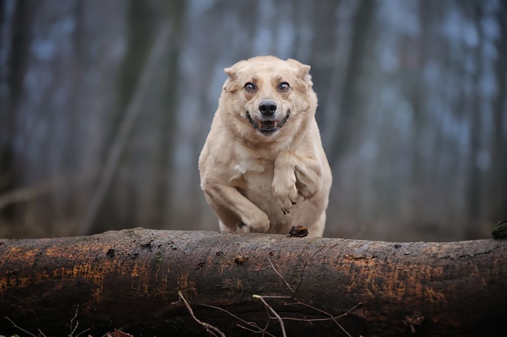 Photograph by Елена Самусенкова