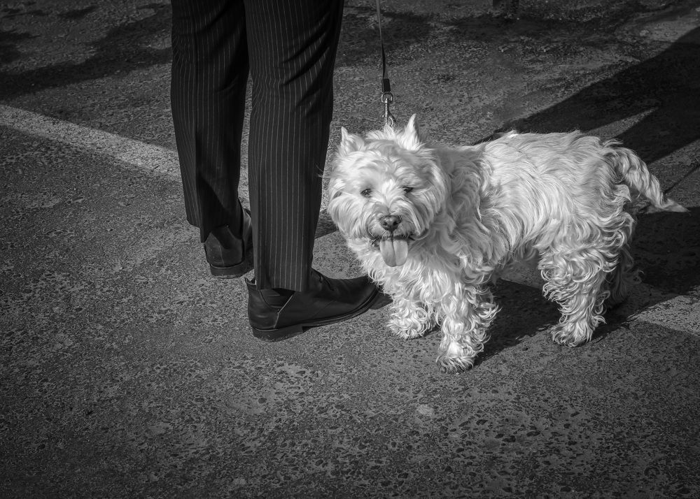 Photograph by Литвинова Галина