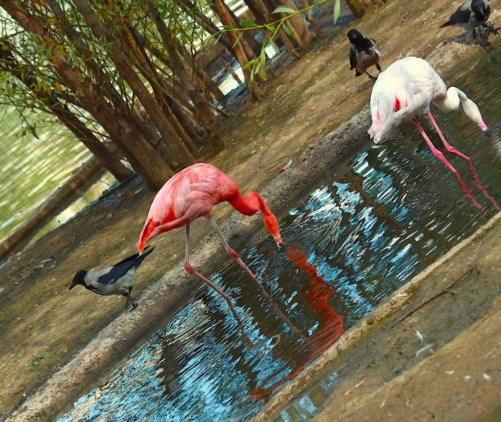 Photograph by Гагик Саркисян