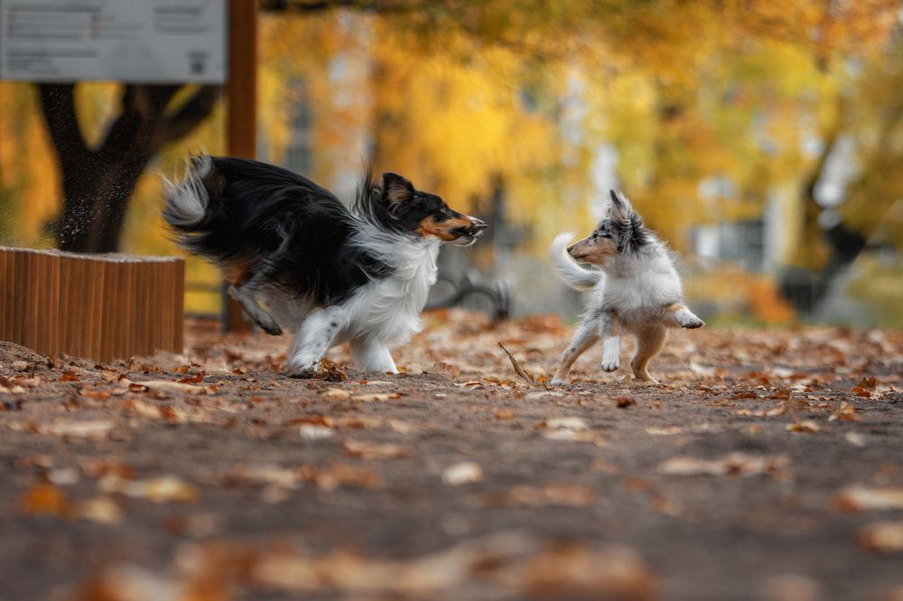 Photograph by Зубкова Юлия